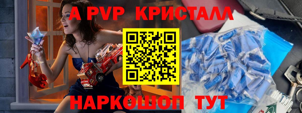 как найти   Alpha PVP СК  Вход с VPN  Ачхой-Мартан 