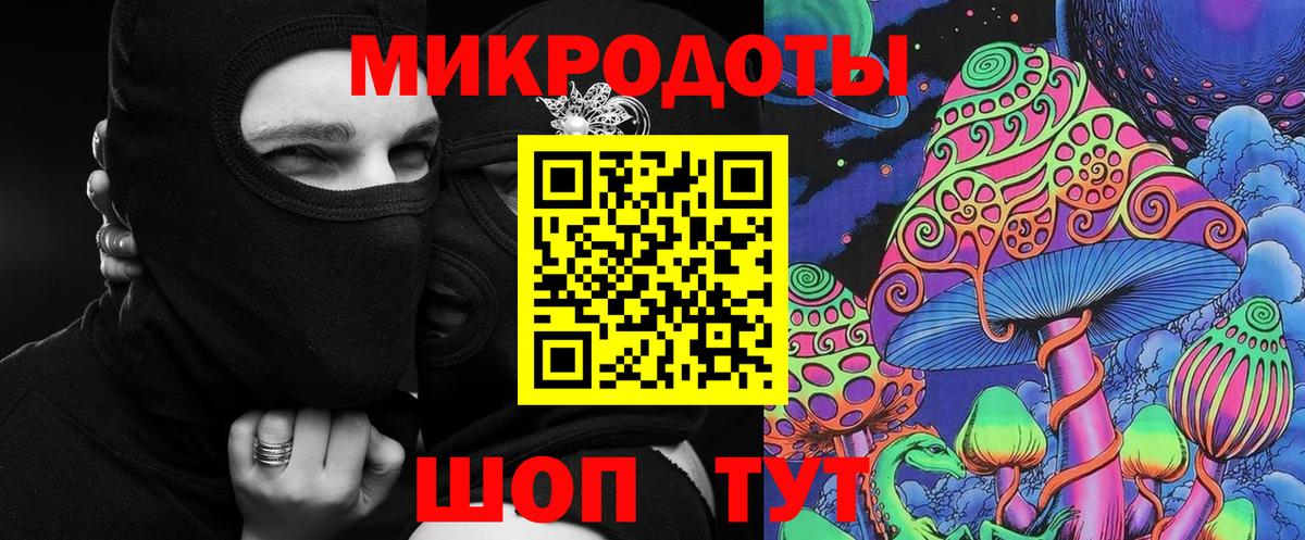 Ачхой-Мартан  Псилоцибиновые грибы Psilocybe  Вход с VPN 